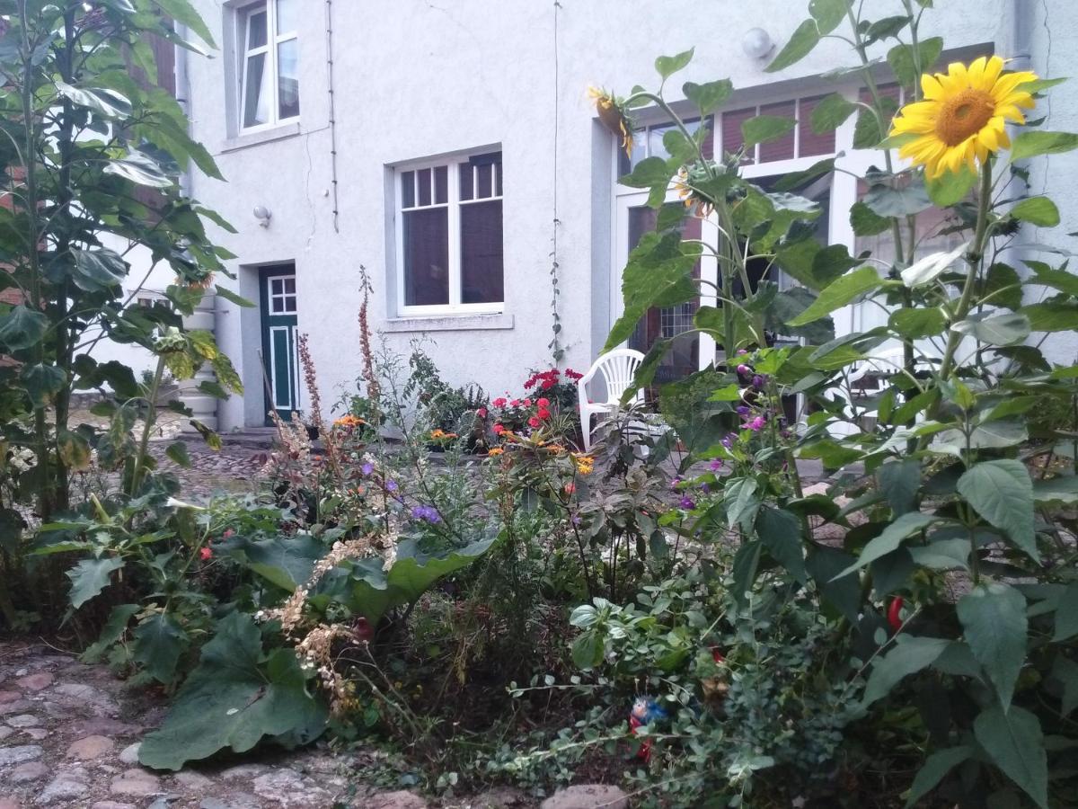 Gaestewohnung Seetor Lenzen المظهر الخارجي الصورة